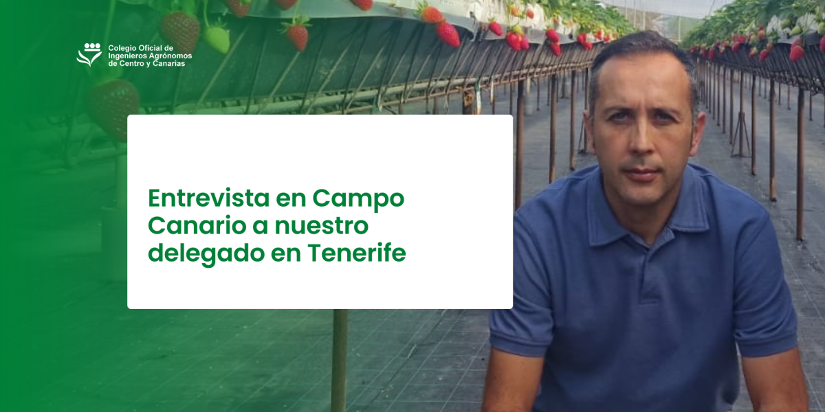 Entrevista en Campo Canario a nuestro delegado en Tenerife
