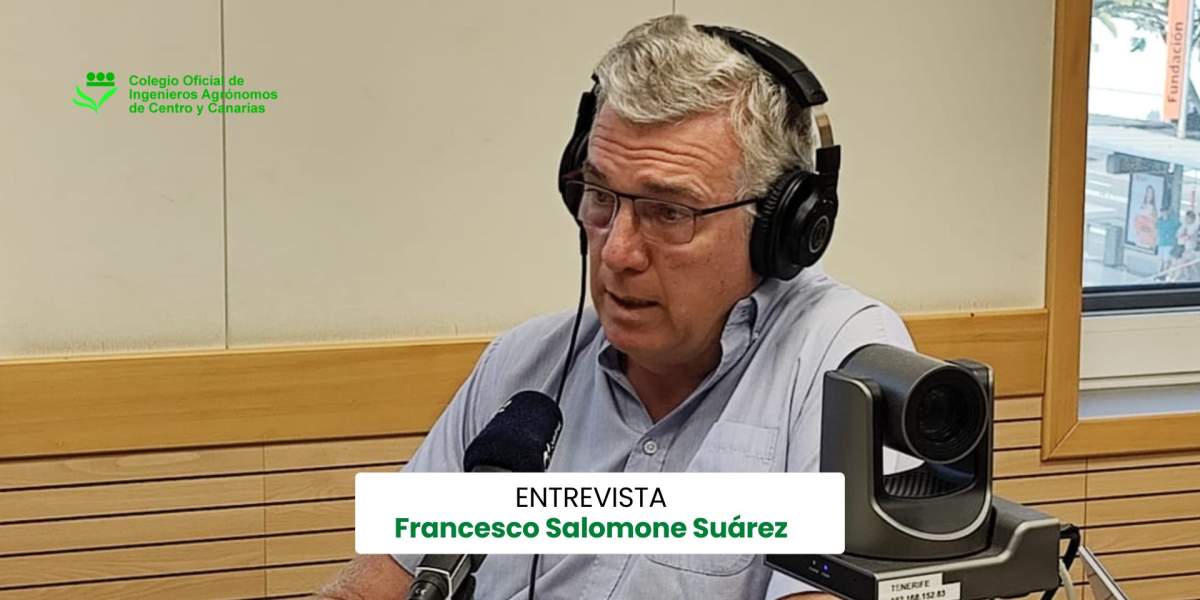 Francesco Salomone: El estudio de las alamedas ayuda a entender el desarrollo de San Cristóbal de La Laguna