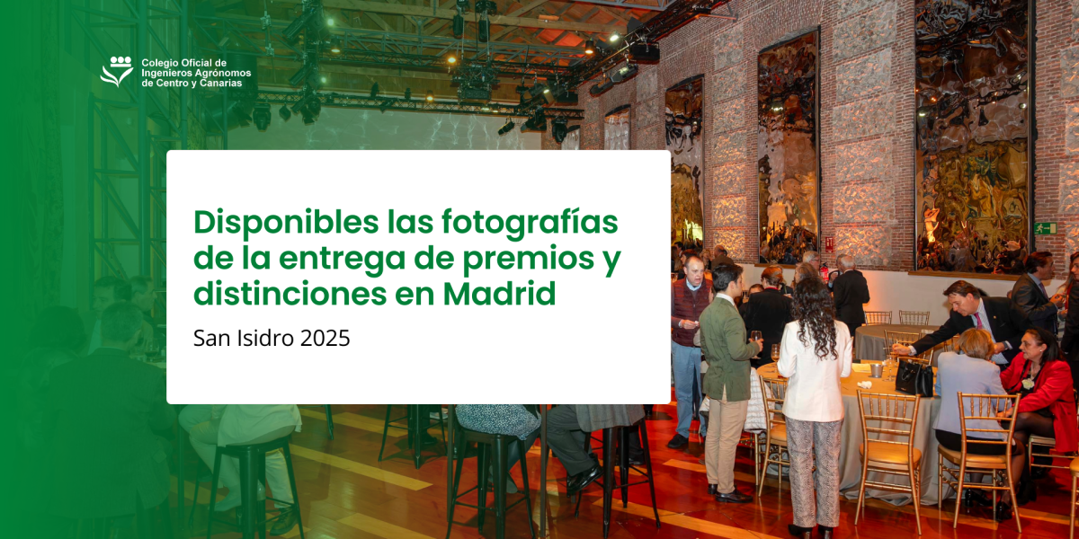 San Isidro 2025: Disponibles las fotografías de la entrega de premios y distinciones en Madrid