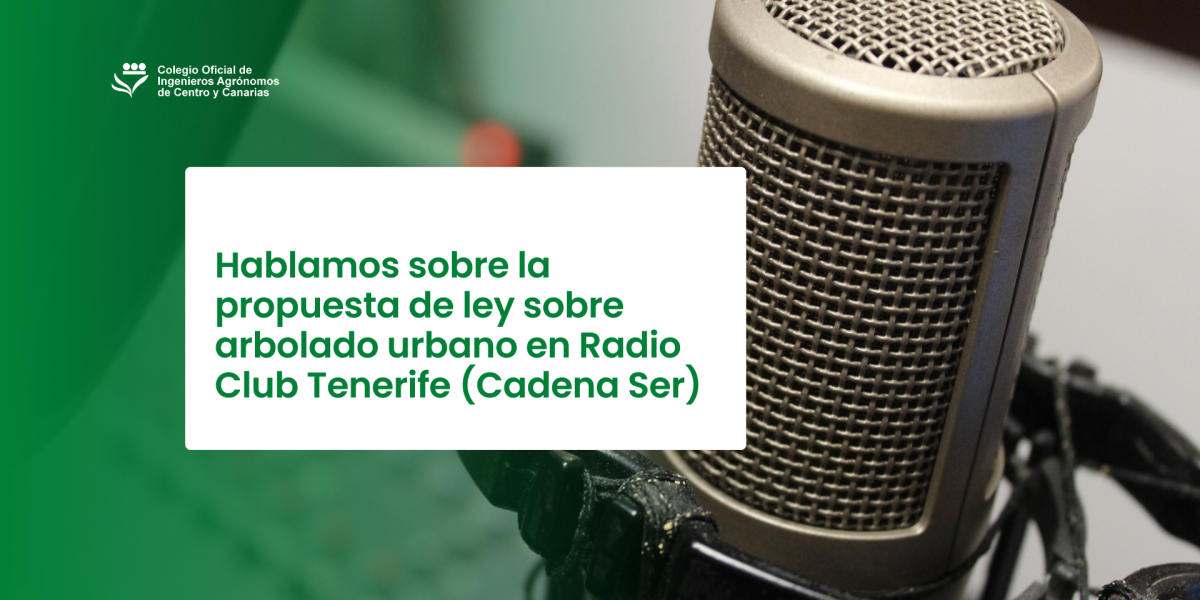 Hablamos sobre la propuesta de ley sobre arbolado urbano en Radio Club Tenerife (Cadena Ser)