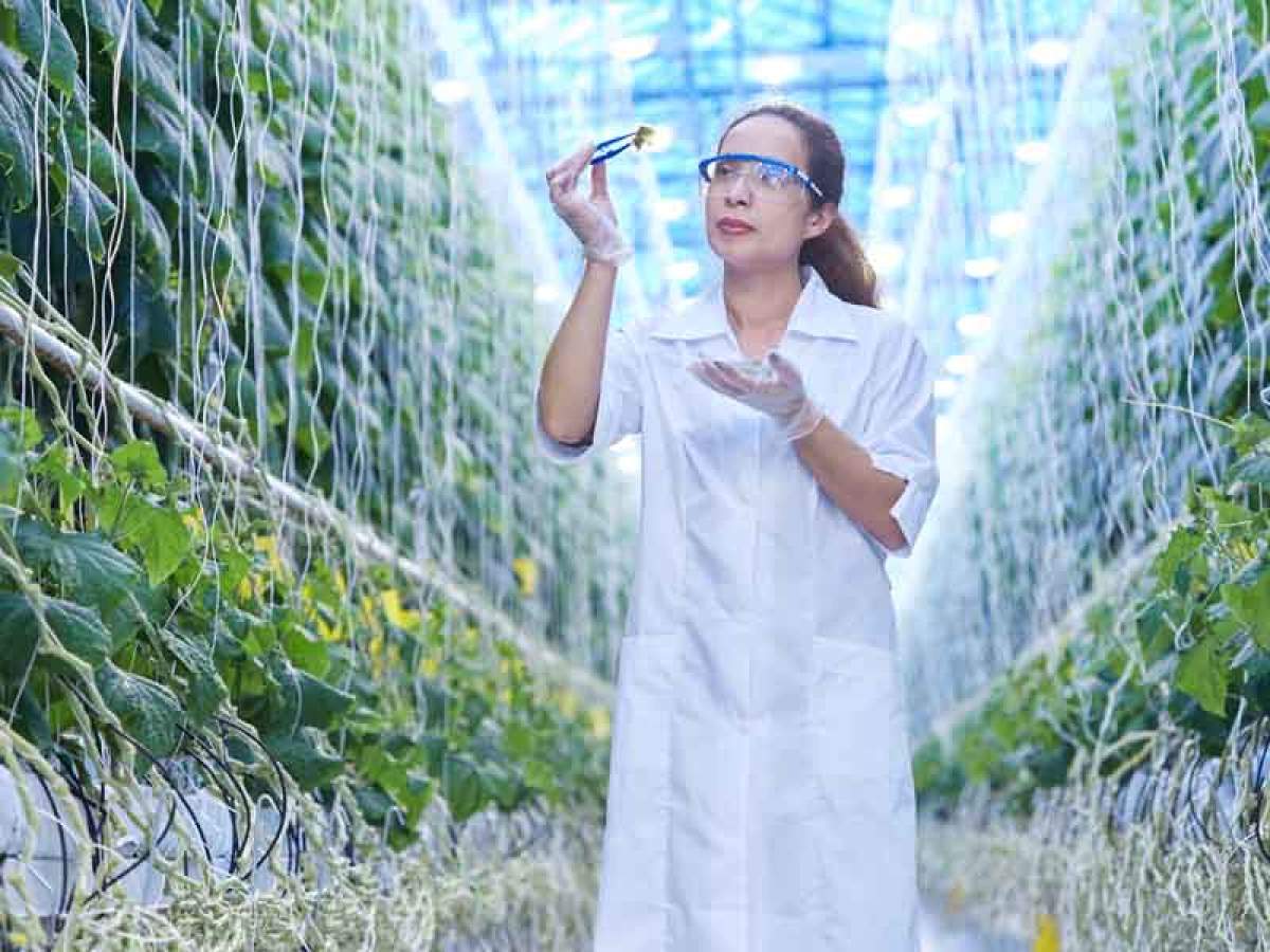 Ingenieras agrónomas para garantizar el futuro de las explotaciones