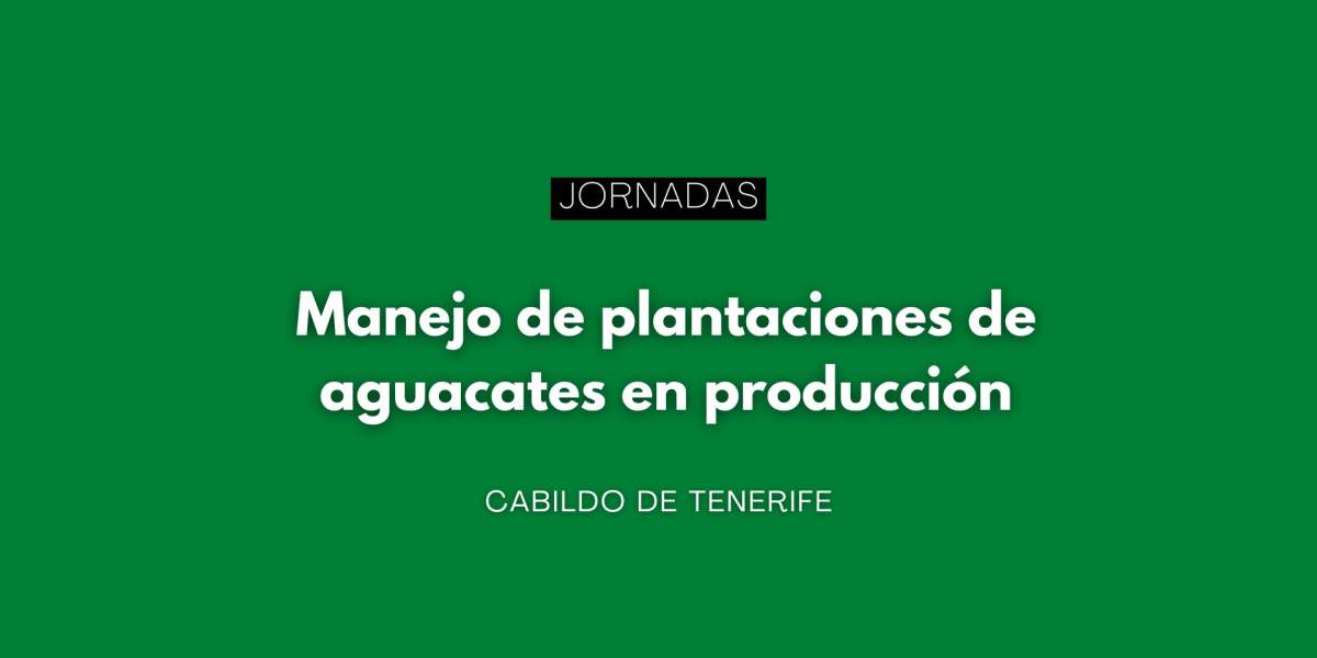 Jornadas de manejo de plantaciones de aguacates en producción