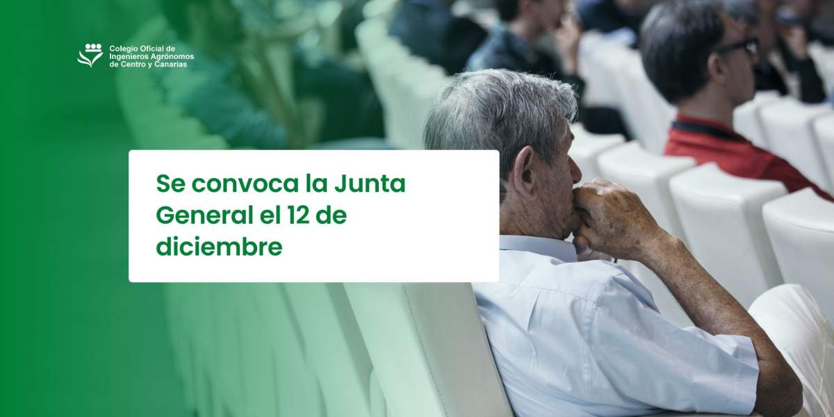 Convocada la Junta General el 12 de diciembre