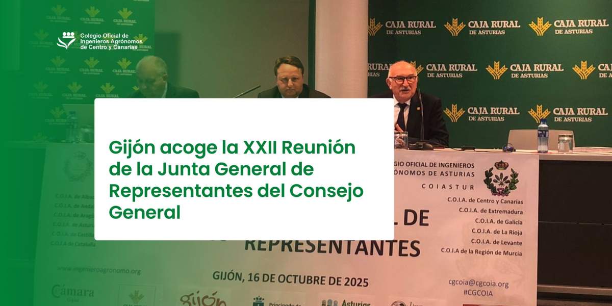 Gijón acoge la XXII Reunión de la Junta General de Representantes del Consejo General