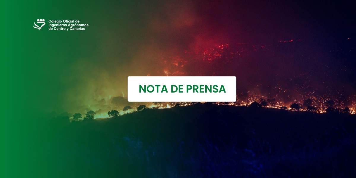 Los incendios dejan una factura invisible para el campo: el humo, la falta de pastos y la recuperación de las explotaciones prolongarán sus efectos durante años