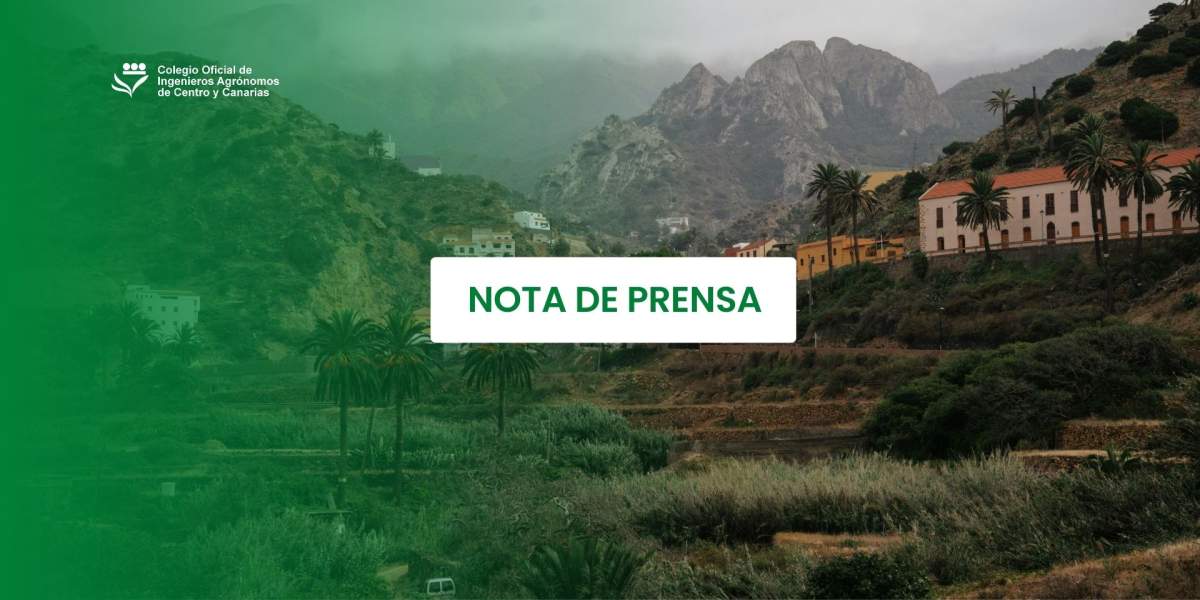 Los ingenieros agrónomos alertan: el 55 % del suelo cultivable en Canarias podría dejar de serlo