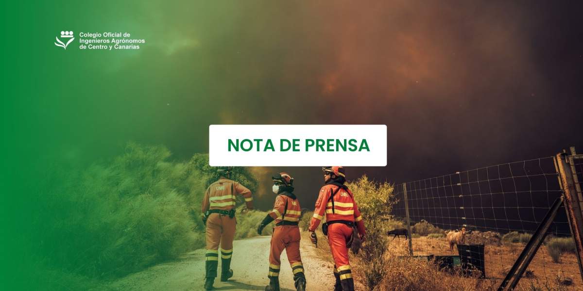 Los ingenieros agrónomos preparan medidas de apoyo para los afectados por los incendios