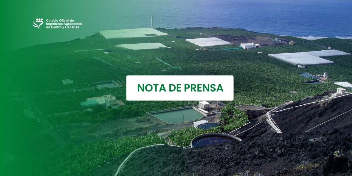 Los ingenieros agrónomos respaldan la reforma del agua, pero exigen mayor reconocimiento del sector agrícola