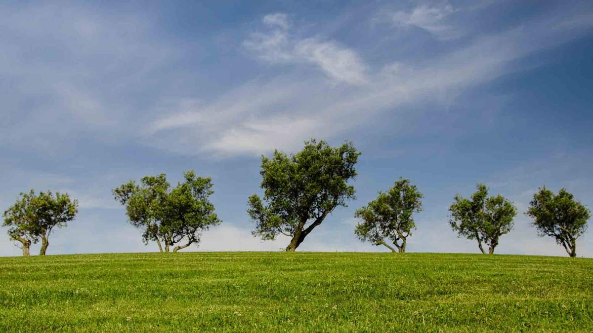 Cambios en la normativa sobre evaluaciones de impacto ambiental