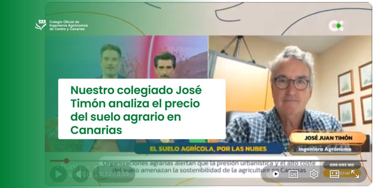 Nuestro colegiado José Timón analiza el precio del suelo agrario en Canarias
