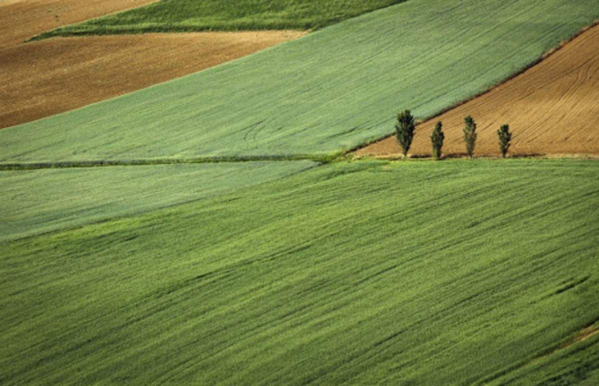 Cuestionario sobre agroecología