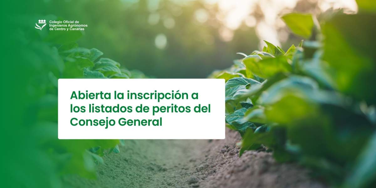 Abierta la inscripción a los listados de peritos del Consejo General