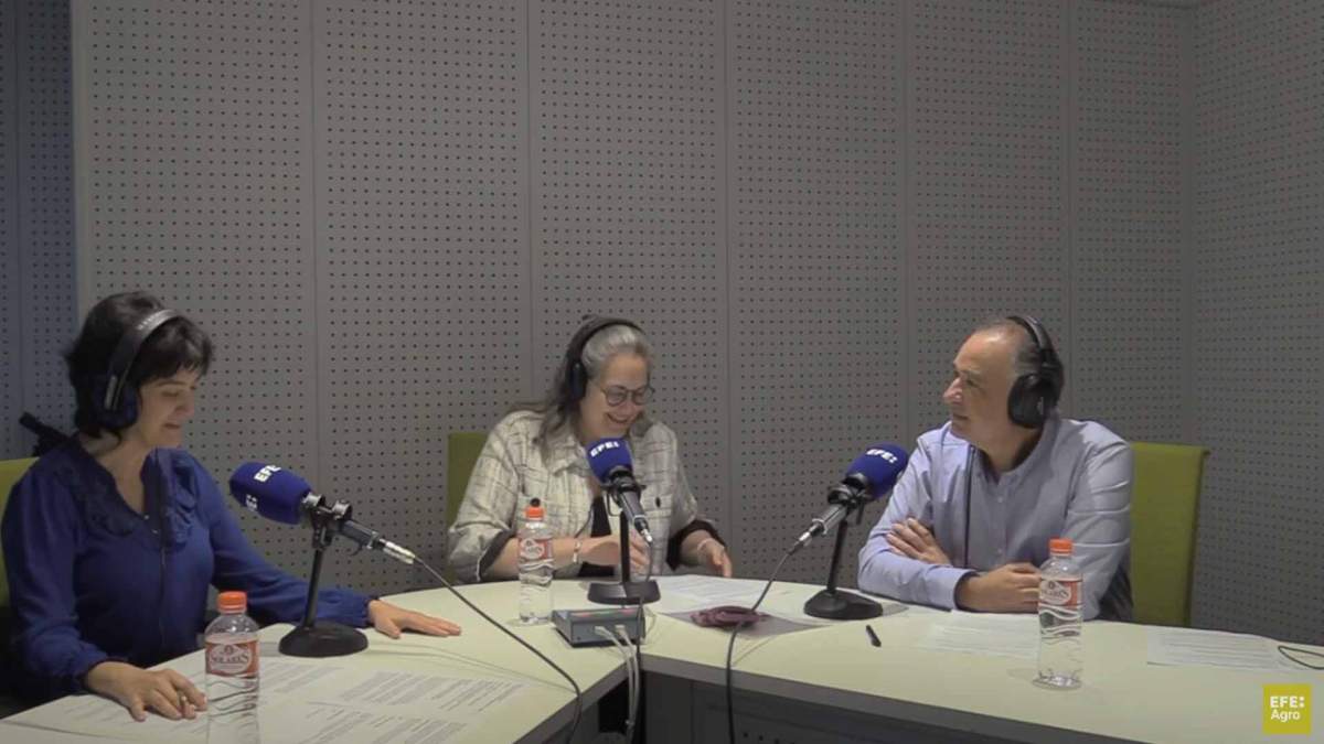 Los ingenieros agrónomos analizan la práctica de cubiertas vegetales en el podcast de Efeagro