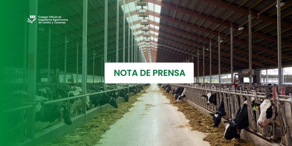 El Colegio Oficial de Ingenieros Agrónomos de Centro y Canarias convoca el Premio José Cascón 2026 para impulsar la innovación en ingeniería agronómica