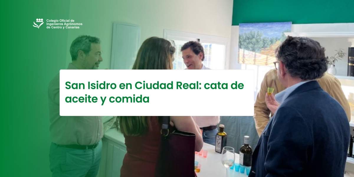 San Isidro en Ciudad Real: cata de aceite y comida