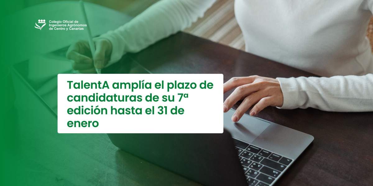 TalentA amplía el plazo de candidaturas de su 7ª edición hasta el 31 de enero