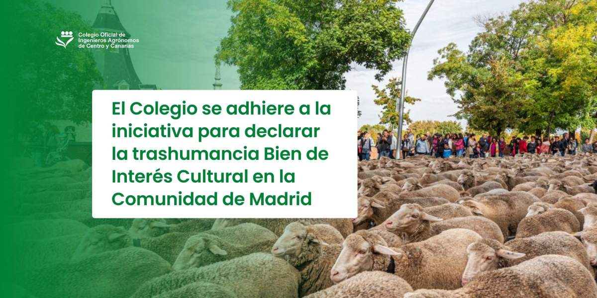 El Colegio se adhiere a la iniciativa para declarar la trashumancia Bien de Interés Cultural en la Comunidad de Madrid