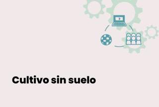 Curso online gratuito sobre cultivos sin suelo