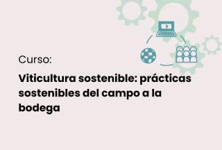 Curso de viticultura sostenible: prácticas sostenibles del campo a la bodega