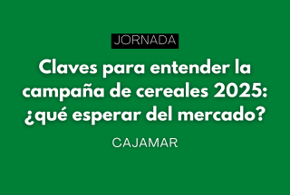 Claves para entender la campaña de cereales 2025