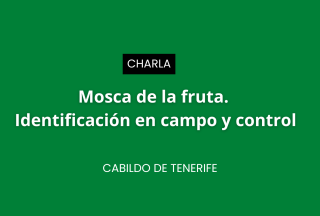 Charla "Mosca de la fruta. Identificación en campo y control" en Tenerife